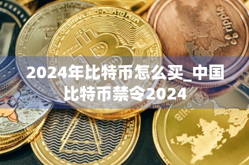 2024年比特币怎么买_中国比特币禁令2024