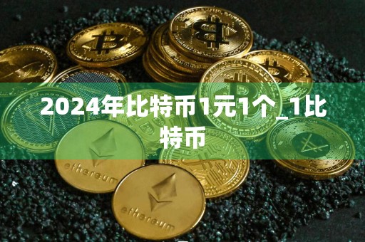 2024年比特币1元1个_1比特币