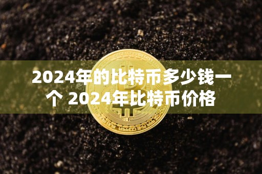 2024年的比特币多少钱一个 2024年比特币价格