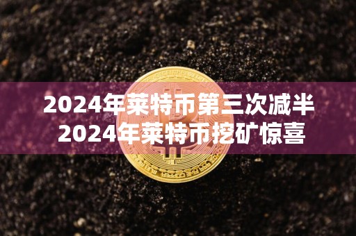 2024年莱特币第三次减半 2024年莱特币挖矿惊喜