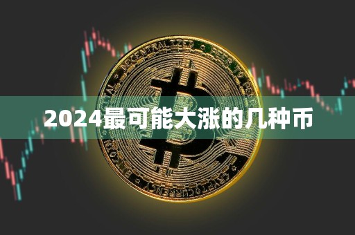 2024最可能大涨的几种币