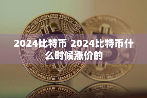 2024比特币 2024比特币什么时候涨价的