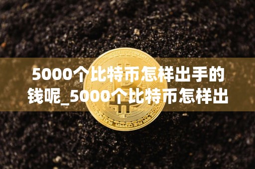 5000个比特币怎样出手的钱呢_5000个比特币怎样出