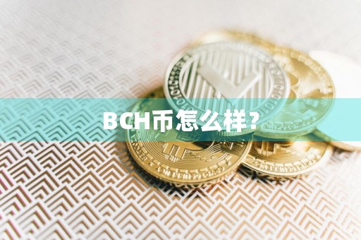 BCH币怎么样？