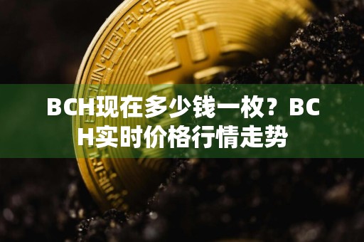 BCH现在多少钱一枚?BCH实时价格行情走势
