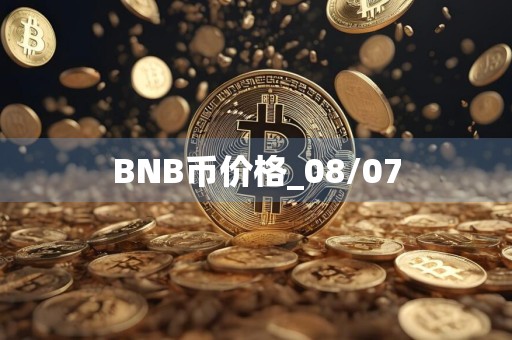 BNB币价格_08/07