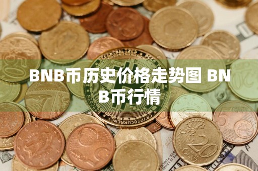BNB币历史价格走势图 BNB币行情