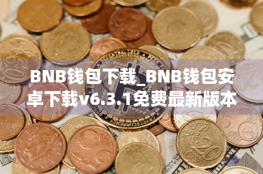 BNB钱包下载_BNB钱包安卓下载v6.3.1免费最新版本下载