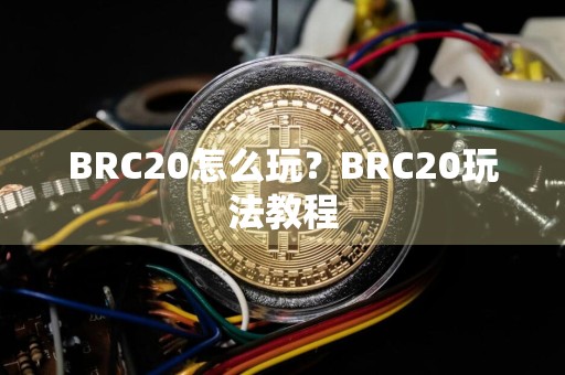 BRC20怎么玩？BRC20玩法教程