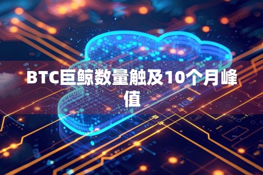 BTC巨鲸数量触及10个月峰值