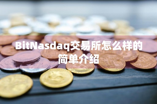 BitNasdaq交易所怎么样的简单介绍
