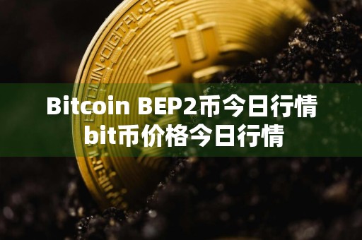 Bitcoin BEP2币今日行情 bit币价格今日行情