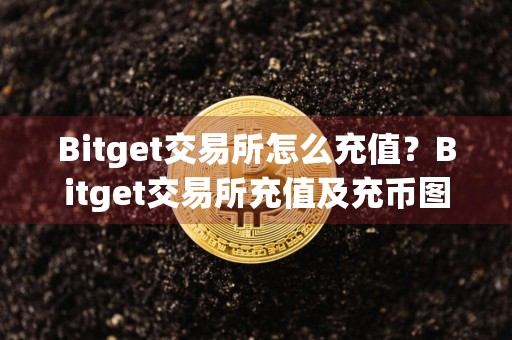 Bitget交易所怎么充值？Bitget交易所充值及充币图文操作教程