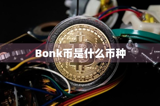 Bonk币是什么币种