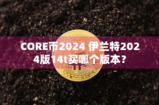 CORE币2024 伊兰特2024版14t买哪个版本？