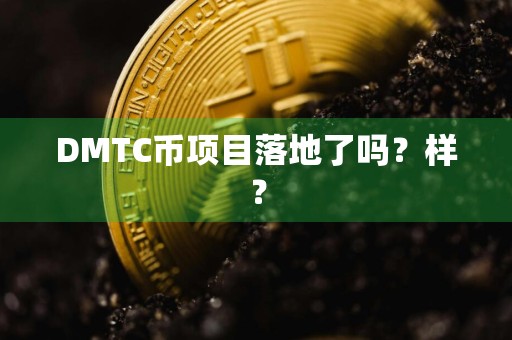 DMTC币项目落地了吗?样?