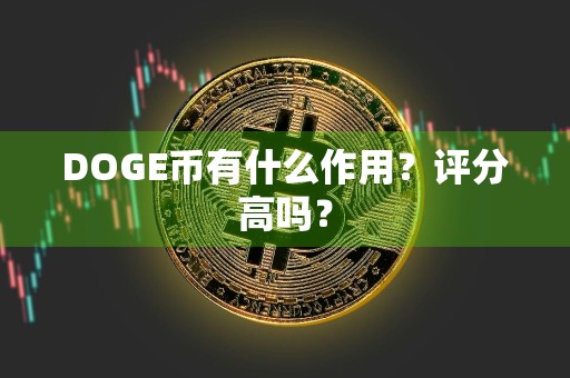 DOGE币有什么作用?评分高吗?