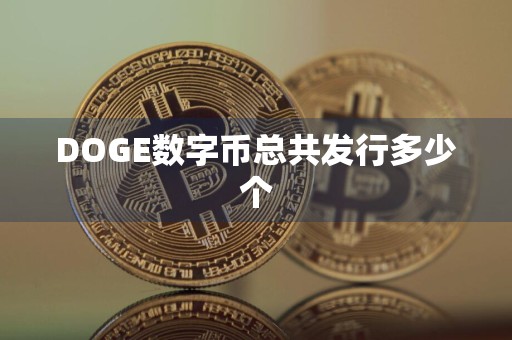 DOGE数字币总共发行多少个