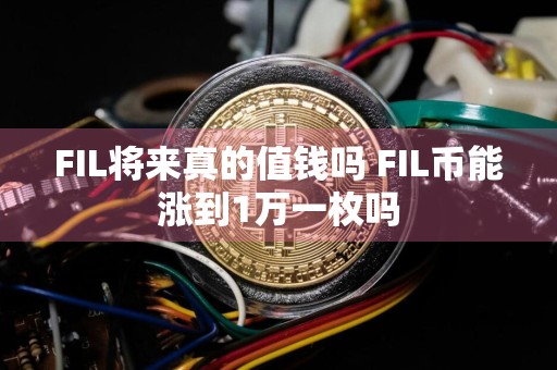 FIL将来真的值钱吗 FIL币能涨到1万一枚吗