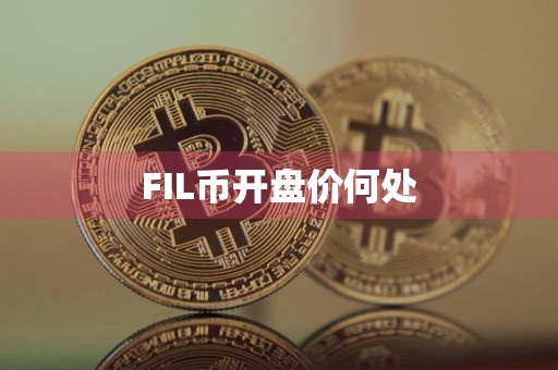 FIL币开盘价何处