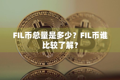 FIL币总量是多少？FIL币谁比较了解？