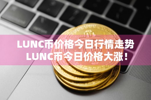 LUNC币价格今日行情走势 LUNC币今日价格大涨!