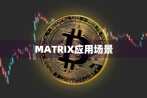 MATRIX应用场景