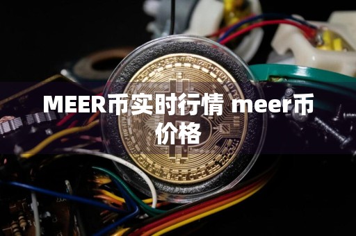MEER币实时行情 meer币价格