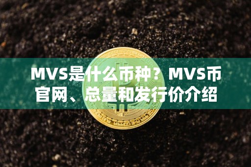 MVS是什么币种？MVS币官网、总量和发行价介绍
