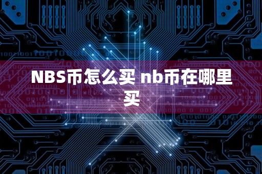 NBS币怎么买 nb币在哪里买