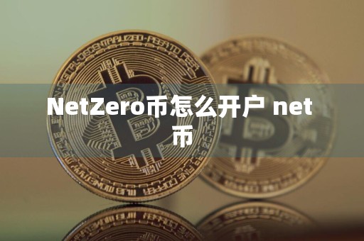 NetZero币怎么开户 net 币