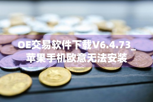 OE交易软件下载V6.4.73_苹果手机欧意无法安装
