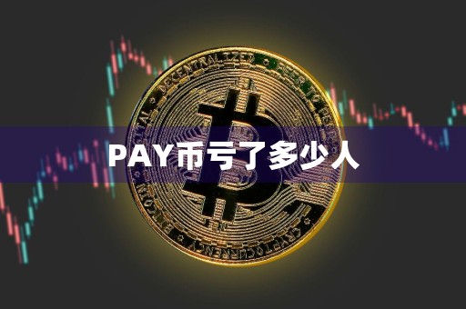 PAY币亏了多少人