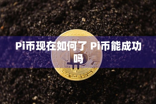 Pi币现在如何了 Pi币能成功吗