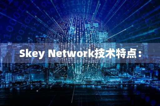 Skey Network技术特点：