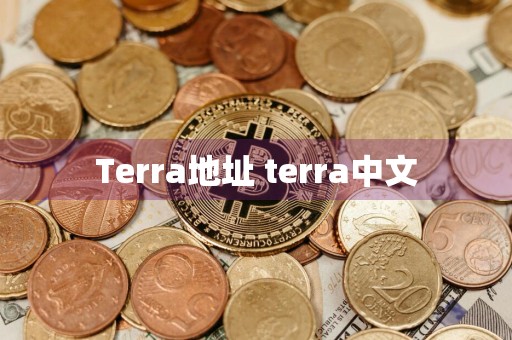 Terra地址 terra中文