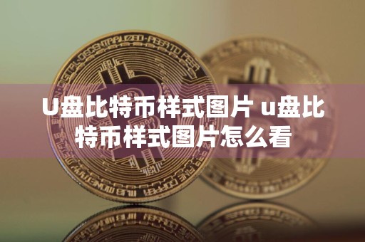 U盘比特币样式图片 u盘比特币样式图片怎么看