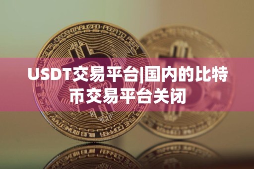 USDT交易平台|国内的比特币交易平台关闭