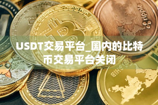 USDT交易平台_国内的比特币交易平台关闭