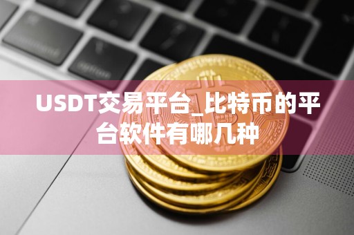 USDT交易平台_比特币的平台软件有哪几种