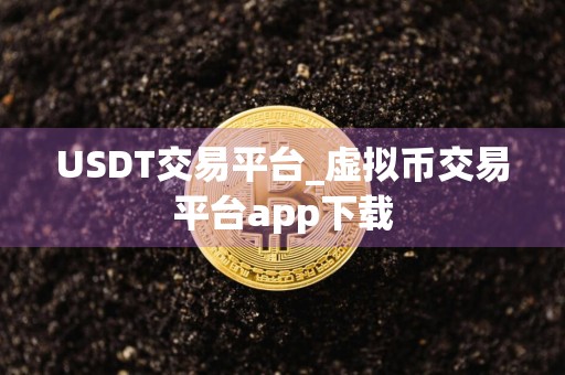 USDT交易平台_虚拟币交易平台app下载