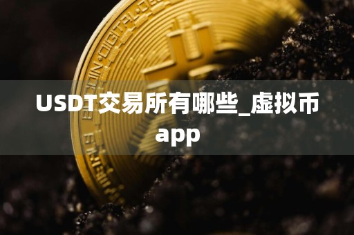 USDT交易所有哪些_虚拟币app