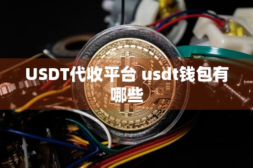 USDT代收平台 usdt钱包有哪些