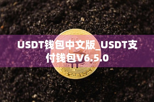 USDT钱包中文版_USDT支付钱包V6.5.0
