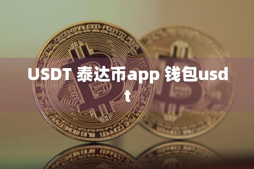USDT 泰达币app 钱包usdt