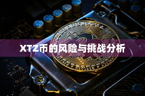 XTZ币的风险与挑战分析