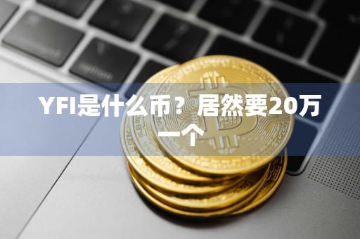 YFI是什么币?居然要20万一个