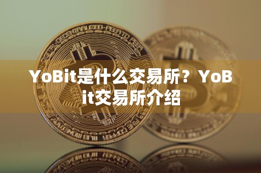 YoBit是什么交易所？YoBit交易所介绍
