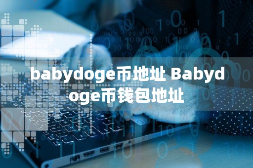 babydoge币地址 Babydoge币钱包地址