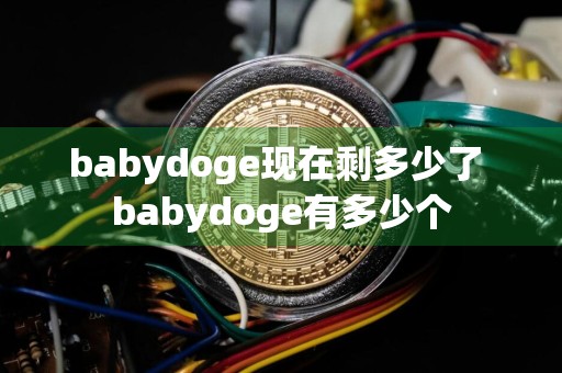 babydoge现在剩多少了 babydoge有多少个